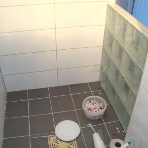 Montering av glassbyggerstein i dusj